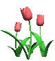 015.gif (80x89, 12Kb)