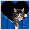 5815803_pet_hot_bases1.jpg (100x100, 4Kb)