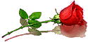 miscellaneous_100.gif (125x60, 2Kb)