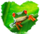 5799085_kva1.jpg (142x116, 44Kb)