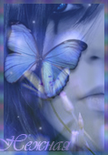 1.jpg (119x170, 42Kb)