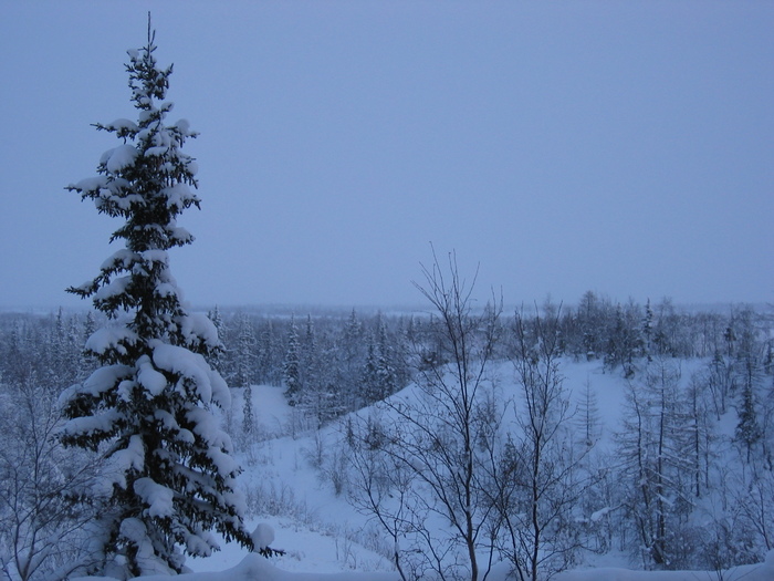 IMG_0006.JPG (700x525, 159Kb)