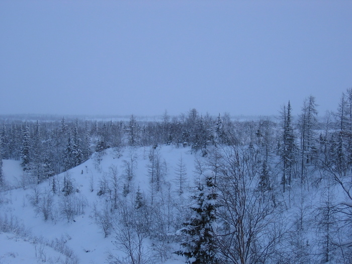 IMG_0004.JPG (700x525, 157Kb)