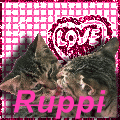 ug01b0f7.gif (120x120, 25Kb)