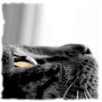egor_svr_3.gif (150x150, 34Kb)