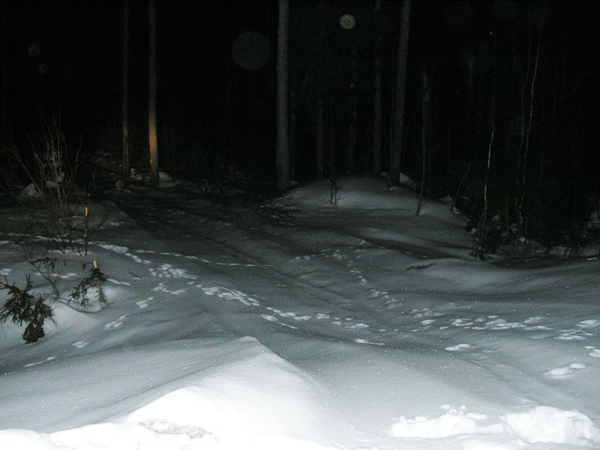 P3250025.jpg (600x450, 241Kb)