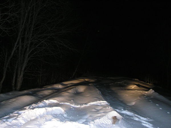 P3250033.jpg (600x450, 200Kb)