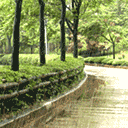 5502679_496746_2668003.gif (128x128, 28Kb)