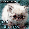b12195492.gif (100x100, 11Kb)