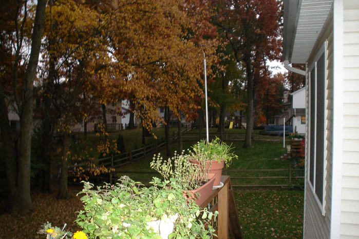 Autumn-2.jpg (699x466, 485Kb)