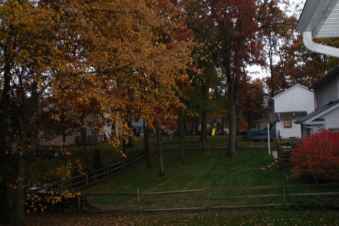 Autumn-3.jpg (699x466, 494Kb)