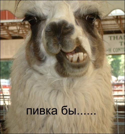 00000149.jpg (500x537, 57Kb)
