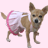 icon5.gif (48x48, 3Kb)