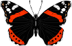 butterfly16.gif (105x68, 3Kb)