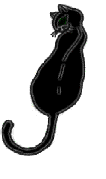 6360747_cat64.gif (106x179, 13Kb)