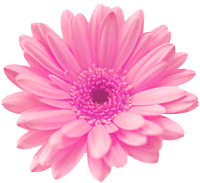 4973999_4943811_3085999_939555_907105_603225_581110_2598065.gif (200x183, 16Kb)