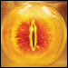 110g.gif (75x75, 4Kb)