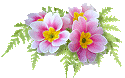 pinkflo35.gif (125x78, 6Kb)