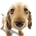 www_FuFlo_ru_2005101505480759.gif (128x128, 27Kb)