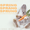 03-26-06spring_bunnycarrotsprung.jpg (100x100, 21Kb)