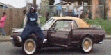 560464576_l.gif (160x80, 295Kb)