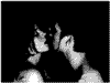784956_992795.gif (100x75, 34Kb)