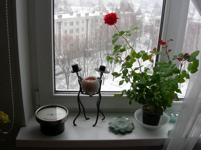 DSCN0607.JPG (700x525, 85Kb)