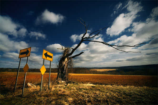 signs.jpg (600x400, 63Kb)