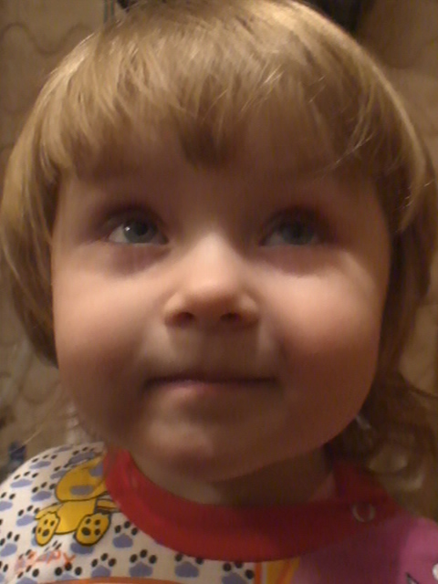 DSC00797.JPG (480x640, 104Kb)