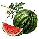 med_1124890423-4569.jpg (128x128, 6Kb)