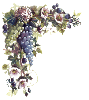 vinflore176.gif (291x327, 38Kb)