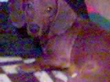 06-01-06_1806.jpg (160x120, 6Kb)