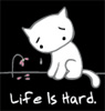 6250202_life_is_hard.gif (95x100, 5Kb)