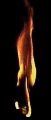 07.gif (51x120, 59Kb)