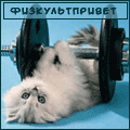 5367961_21.gif (120x120, 11Kb)