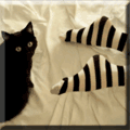 e1fa767b97b91256ecf83aac25a2c587.gif (120x120, 16Kb)