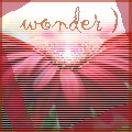 .jpg (120x120, 7Kb)