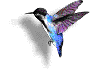animals8.gif (190x143, 13Kb)