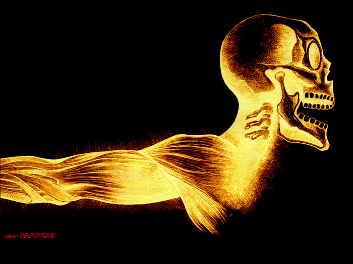 134.jpg (700x525, 143Kb)