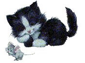 cats_163.gif (175x129, 47Kb)