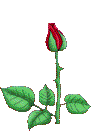 atsi rozze.gif (91x131, 37Kb)