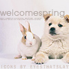 03-26-06spring_bunnypuppywelcome.jpg (100x100, 20Kb)