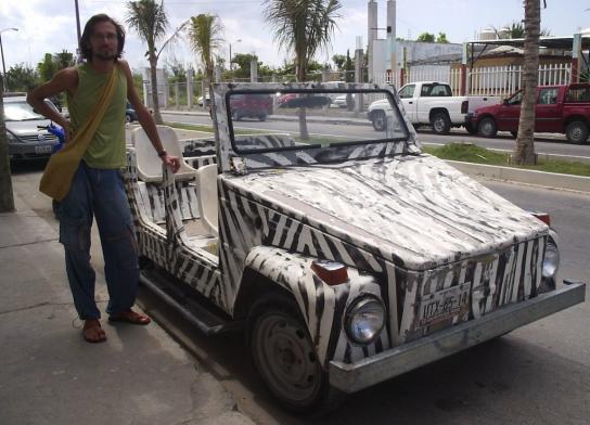 Mexican Zebra1.JPG (544x392, 43Kb)
