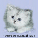 blue_eyes_cat_dv.gif (150x150, 16Kb)