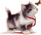 3456574_gatof.gif (140x120, 18Kb)
