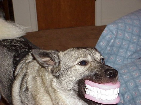 .jpg (472x354, 53Kb)