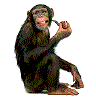 12A3.gif (96x100, 12Kb)