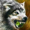 wolf.jpg (100x100, 5Kb)