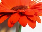 802553_413269.jpg (140x105, 19Kb)