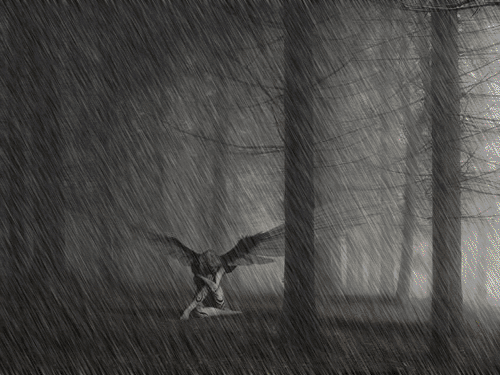 101.gif (500x375, 314Kb)